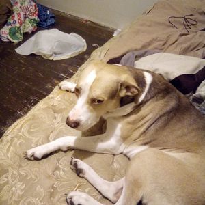 Meet your Posher, Brayden